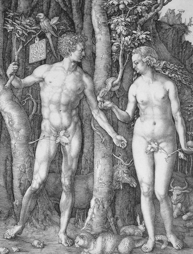 pub.79.puurparadijs.webp